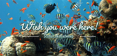 Scuba Dive Lakshadweep